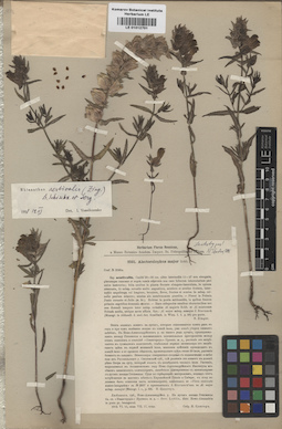 LE 01012701