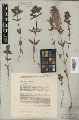 LE 01012703