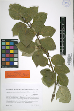 LE 01013887