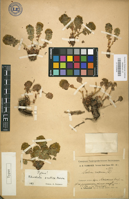 LE 01025609