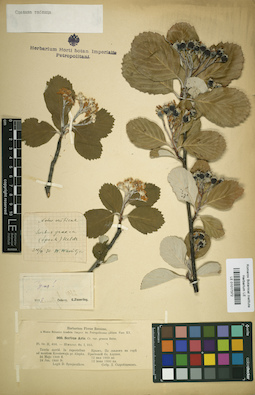 LE 01017372