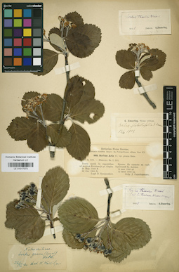 LE 01017373