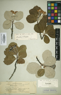 LE 01017374