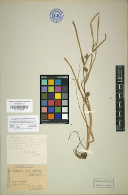 LE 01025605