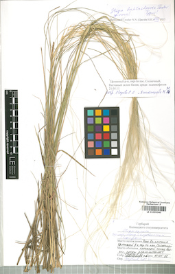 LE 01009340