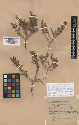 LE 01009628