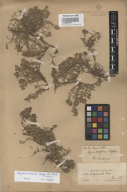 LE 00018235