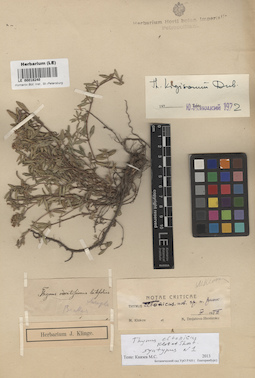 LE 00018240