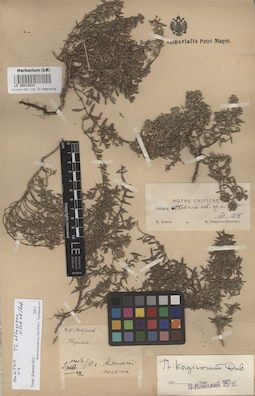 LE 00018241