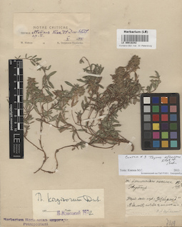 LE 00018242