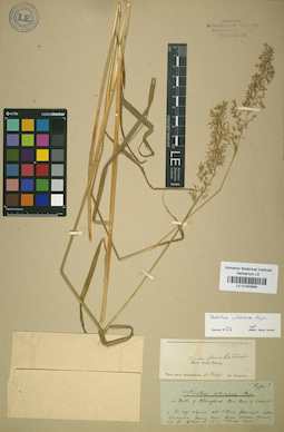LE 01043584