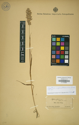 LE 01043581