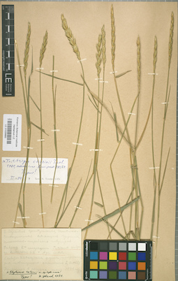 LE 01025683
