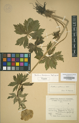 LE 01043883