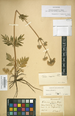 LE 01042396