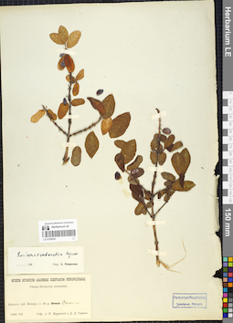 LE 01056241