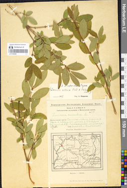 LE 01056288
