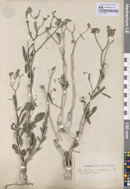 LE 01311920
