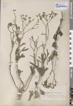 LE 01311925