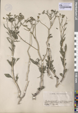 LE 01311926