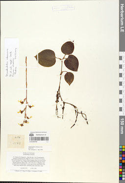 LE 01054756