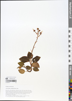 LE 01054777