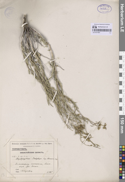 LE 01311931