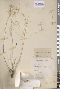 LE 01311936