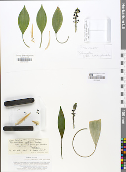 LE 01048468