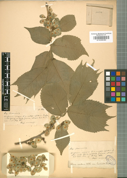 LE 01009384