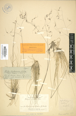 LE 01009404