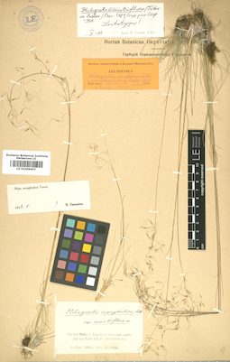 LE 01009407