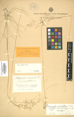LE 01009408