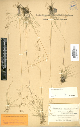 LE 01009409