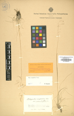 LE 01009410