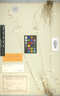 LE 01009411