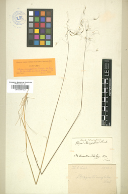 LE 01009413
