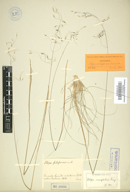LE 01009414