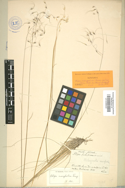 LE 01009416