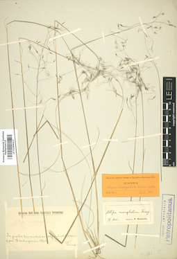 LE 01009417