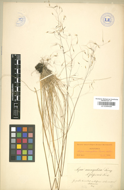 LE 01009418