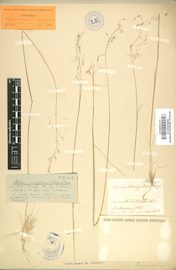 LE 01009419