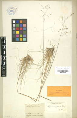 LE 01009420