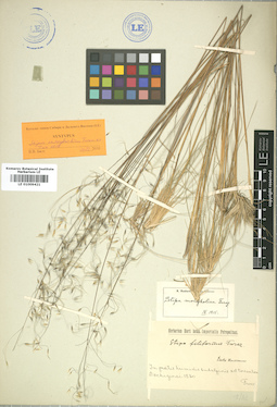 LE 01009421
