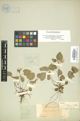 LE 01009469