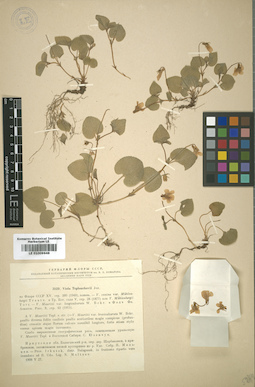 LE 01009648