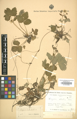 LE 01010082