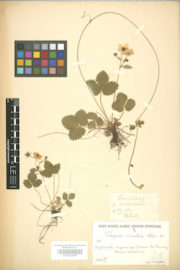 LE 01010085
