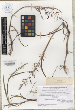 LE 01010293