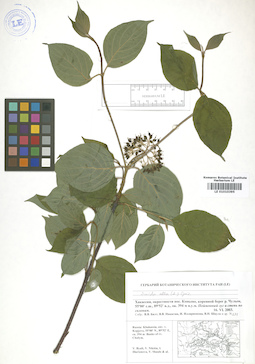 LE 01010395